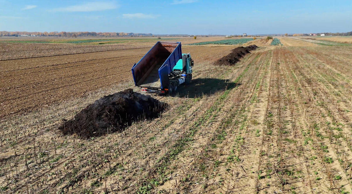 Generic Company Logo